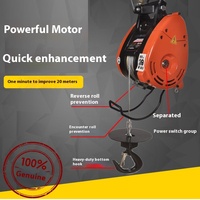 Mini-treuil électrique domestique 110V/220V portable et durable avec câble de levage en acier