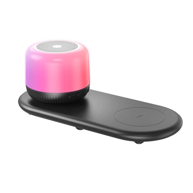 Speaker with FM Radio Long Range Bluetooth for Home Outdoor Entertainment 2 in 1 Wireless Charger with Speaker