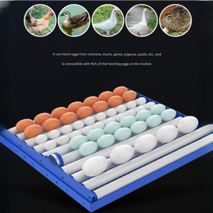 Máquina Incubadora de Huevos de Gallina con Bandeja Extraíble, Totalmente Automática, Control de Temperatura y Humedad, Incubadora para 350 Huevos de Diversos Tipos de Aves de Corral - Product Image 4