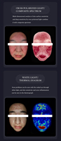 Analyseur de peau portable 8 spectres, machine d'analyse cutanée IA, scanner intelligent d'analyse de la peau du visage, analyseur de peau Asia Q2