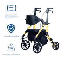 Déambulateur pour personnes âgées, service OEM personnalisé, aide à la mobilité pliable légère, support stable, certifié CE, Relaxsmith AR2032-Y