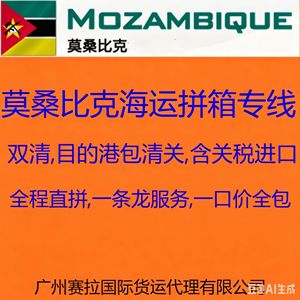 Guangzhou Serra Freight Forwarding Co Ltd, transport maritime DDP porte-à-porte vers le Niger, service de fret maritime, port de destination Niamey - Product Image 3