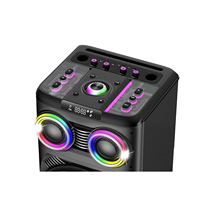 Altavoz Profesional Inalámbrico de 12 Pulgadas con Doble Supergraves, Bluetooth 5.0, Manos Libres, para DJ, Karaoke, con Luces RGB, para Exteriores, 150W