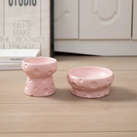 Bol en céramique pour chat, surélevé, ergonomique, anti-vomissement, protection du cou, bol de voyage pour chats âgés