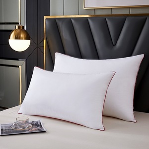 Hotel <span class=keywords><strong>de</strong></span> alta calidad <span class=keywords><strong>relleno</strong></span> <span class=keywords><strong>de</strong></span> algodón sofá cojines al por mayor personalizado 70x70cm 1200g almohadas cojines - Product Image 6