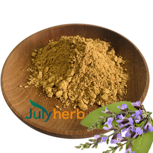 Julyherb kualitas tinggi makanan kelas <span class=keywords><strong>Coleus</strong></span> 20% Forskohlii ekstrak untuk bubuk skolin - Product Image 2