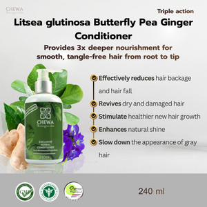 ลิทเซีย กลูติโนซา บัตเตอร์ฟลาย พี จินเจอร์ คอนดิชันเนอร์ 240 มล. ผลิตภัณฑ์ดูแลเส้นผมเพื่อบำรุงเส้นผมให้นุ่มสลวย - Product Image 2