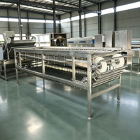 Automatische rol sorteermachine voor het sorteren van fruit en groenten op maat, voor verwerkingslijnen.
