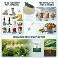 Poudre d'enzyme hydrolysatrice de peptides de soja de qualité alimentaire, fournie par l'usine