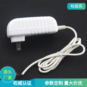 12V 2A White <b>Power</b> <b>Adapter</b> <b>US</b> Plug For LED Light Strips And Massage Pillows - Product Image 5