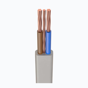 Cable Plano TPS de Dos Hilos con Tierra y Revestimiento de PVC para Aplicaciones de Calefacción, Certificado SAA para Australia y Nueva Zelanda - Product Image 2