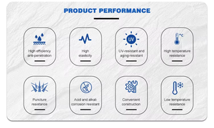 <span class=keywords><strong>Membrane</strong></span> bitumineuse industrielle auto-adhésive renforcée PVC/SBS avec adhérence spécifique aux fenêtres pour <span class=keywords><strong>l</strong></span>'<span class=keywords><strong>étanchéité</strong></span> des fenêtres - Product Image 6