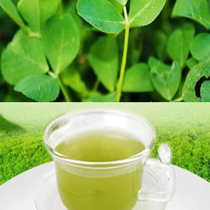 Label pribadi OEM bubuk ekstrak rumput Alfalfa organik alami murni bubuk ekstrak daun Alfalfa dalam jumlah besar - Product Image 3