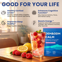 ODM OEM Mélange de Boissons Apaisantes Non-OGM, Poudre de Boisson au Glycinate de Magnésium pour Femmes et Hommes, Équilibre l'Humeur et le Stress