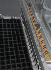 Máquina <span class=keywords><strong>Sembradora</strong></span> de <span class=keywords><strong>Bandejas</strong></span> Semiautomática, Máquina Neumática <span class=keywords><strong>para</strong></span> Sembrar Semillas de Vegetales <span class=keywords><strong>para</strong></span> <span class=keywords><strong>Bandejas</strong></span> de Vivero - Product Image 3