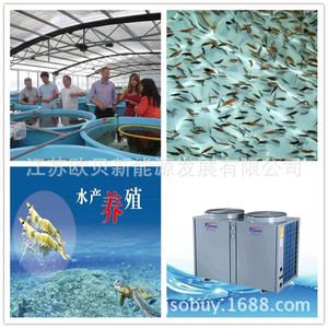 Sistema de calentamiento de agua con bomba de calor Yijiaren 380V R-410A para acuicultura y piscicultura - Product Image 3