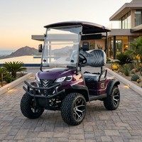 Carrito de Golf Eléctrico de 2 Plazas, 4kW, 60V, con Frenos de Doble Circuito, Suspensión MacPherson, Color Morado, para Resorts de Lujo, OEM