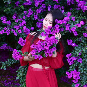 Bougainvillea a Ramo Lungo 118/96CM, <span class=keywords><strong>Fiori</strong></span> a Triangolo, <span class=keywords><strong>Fiori</strong></span> di Bougainvillea per Decorazioni da Giardino e Matrimoni - Product Image 4
