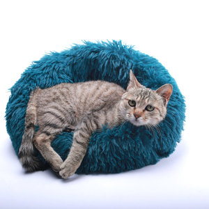 Active <strong>Pets</strong> <strong>Products</strong> Plush Calming Dog <strong>Bed</strong> Dog <strong>Bed</strong> for Small Dogs, Medium &amp; Large,Soft Fuzzy <strong>Pet</strong> <strong>Bed</strong> - Product Image 2