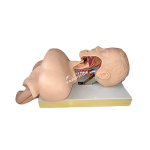 Modèle de tête d'intubation orale et nasale électronique de haute qualité, modèle de tête d'intubation endotrachéale - Product Image 2