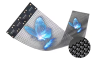 Fabricant d'écrans à LED RGX Intérieur Extérieur Affichage à LED en maille transparente de haute qualité Écran de film holographique à LED commercial