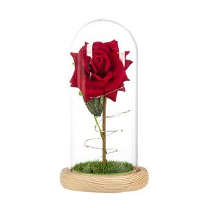 Rose éternelle de la <span class=keywords><strong>belle</strong></span> <span class=keywords><strong>et</strong></span> la <span class=keywords><strong>bête</strong></span> dans un dôme en verre, fleurs artificielles, LED pour anniversaire, mariage, saint-valentin, cadeau de noël - Product Image 1