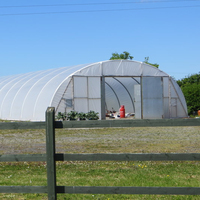 Serre agricole tunnel bas à toit unique à faible coût