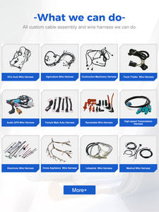 Controlador de oxígeno Spartan Lambda 2 personalizado con cable de 8 pies para el sensor de banda ancha Boschs LSU 4,9 - Product Image 5
