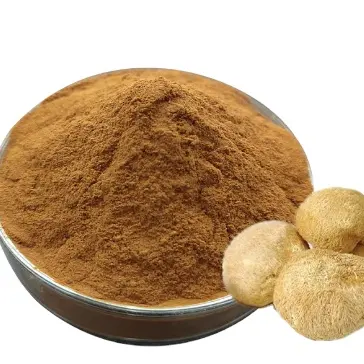 Powerful Mushroom Extract Powder Blend Lions Mane,cordyceps,reishi,chaga,turkey Tail,maitake Extract High Quality 6 in 1
