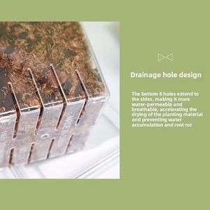 Offre Spéciale spécial classique écologique Transparent <span class=keywords><strong>racine</strong></span> visualisation plastique <span class=keywords><strong>racine</strong></span> contrôle <span class=keywords><strong>carré</strong></span> respirant Phalaenopsis Pot de fleur - Product Image 4