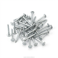 Clous de construction en fer 2,8 mm à tige lisse et tête ronde, clous ordinaires pour la construction