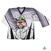 Aibort Ice Hockey Jerseys Custom Design Fashion Oversize Unique (hockey  jerseys 022) - China Tshirt and Shirts price