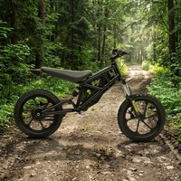 Moto électrique tout-terrain Suron Light Bee x 36V, 1KW, 35 km/h, 10Ah, propulsion arrière, 5 vitesses, pneus larges 16*2.40, pour adultes