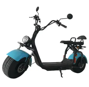 2024 New Chất béo tự cân bằng bánh xe lớn scooter điện 2000W EEC coc citycoco 1500W cho người lớn