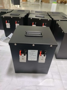 Batería de Fosfato de Hierro y Litio Personalizada de Fábrica Delon de 2.5KWh, 48V 50Ah, la Batería Más Vendida para el Triciclo Eléctrico DL-5150 - Product Image 5