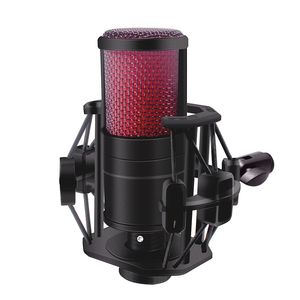 Microphone à condensateur d'<span class=keywords><strong>enregistrement</strong></span> V500 Microphone professionnel pour diffusion <span class=keywords><strong>en</strong></span> direct Convient pour l'<span class=keywords><strong>enregistrement</strong></span> <span class=keywords><strong>en</strong></span> <span class=keywords><strong>ligne</strong></span> sur <span class=keywords><strong>Youtube</strong></span> et <span class=keywords><strong>en</strong></span> podcast - Product Image 1