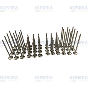 工厂备件优质汽车发动机系统阀门套件适用于奥迪大众 6.0 6.0L 汽油发动机 OE 022109601F 022109611B - Product Image 3