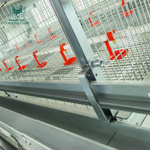 Hightop komple otomatik Pullets yetiştirme tavuk broş bebek civciv kafes kanatlı çiftlik <span class=keywords><strong>Coop</strong></span> için - Product Image 6