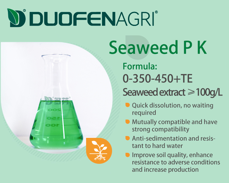 12-6-38+TE Water Soluble NPK Fertilizer Bulk Manufacturer image 4