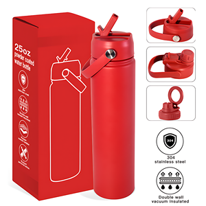 Bouteille d'eau sport isotherme en acier inoxydable de 25 oz avec logo personnalisé, couvercle à paille rabattable et poignée - Product Image 1