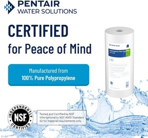 Cartucho de filtro de sedimentos para toda la casa Pentair Pentek Big Blue de 10 pulgadas, sistema de filtro de agua de ósmosis inversa de repuesto - Product Image 3