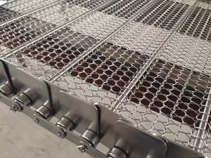 Meshband, meshbandtransportband, kettingaangedreven band - Product Image 1