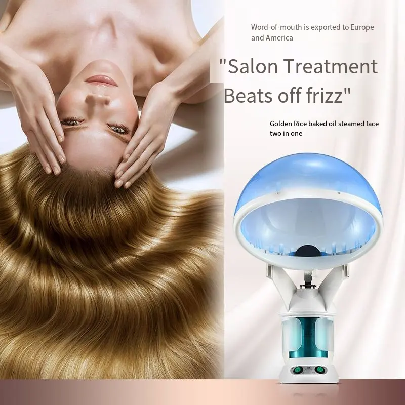 vapor Facial steamer and hair steamer two in one EU plug 2 in 1 hair and face steamer odm ozone professional