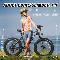 USA Stock 48V 13AH 500W gros pneu montagne neige suspension complète Ebike multi-mode écran LCD Sport pour adultes