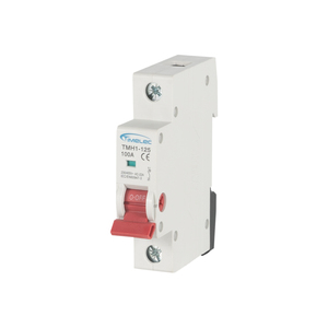 Aislador 1P TMH1-125 - Product Image 2