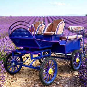 Carruaje de Lujo Morado Personalizado de Cuatro Ruedas para Caballos, Carruaje para Caballos de Maratón, Venta Directa de Fábrica - Product Image 1