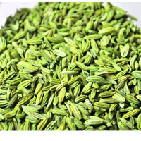 Graines de fenouil vert entières de haute qualité, vente directe d'origine, épices chinoises Huaran, vente en gros