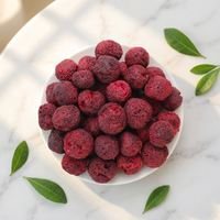 Mekong River Gedroogde Aardbei Kiwi Dragon Fruit Kauwtabletten Vietnam Leverancier Fabriek Fabrikant