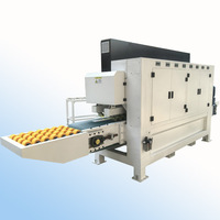 Hualong Machinery 2025 nouvelle ligne de polissage de profilage de carreaux de marbre de granit automatique polisseuse rectifieuse de profil de bord de pierre