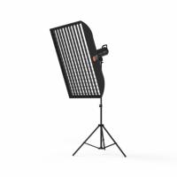 DENGWEI Studio photo portable pliable rectangulaire en alliage d'aluminium 30*120cm, accessoire de photographie flash, monture à baïonnette Baorong